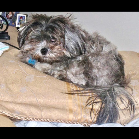 Meet your Posher Ella - Picture 10 of 14